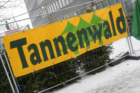 Symbolfoto Weihnachtsbaumverkauf