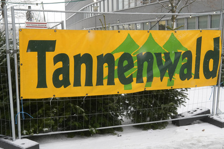 Symbolfoto Weihnachtsbaumverkauf