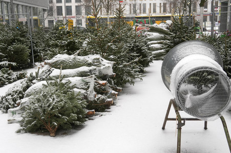 Symbolfoto Weihnachtsbaumverkauf