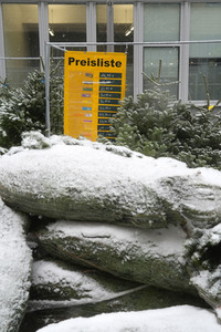 Symbolfoto Weihnachtsbaumverkauf