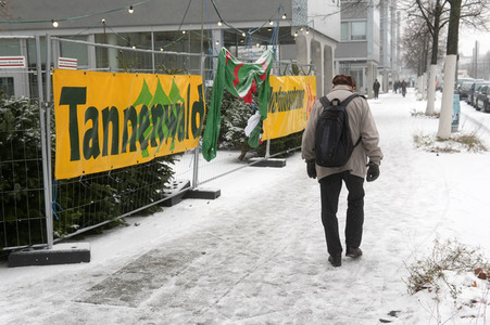 Symbolfoto Weihnachtsbaumverkauf