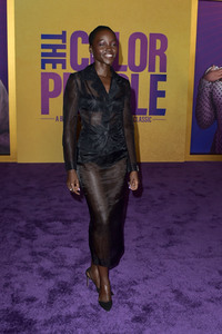 Filmpremiere 'The Color Purple' in Los Angeles