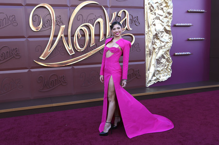 Filmpremiere 'Wonka' in Los Angeles