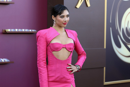 Filmpremiere 'Wonka' in Los Angeles