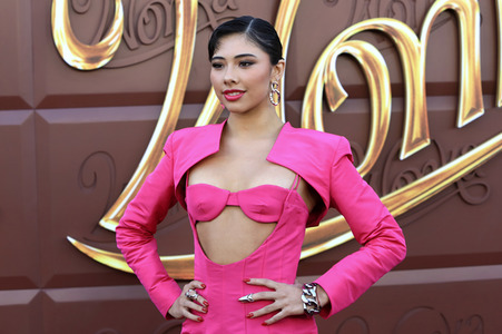 Filmpremiere 'Wonka' in Los Angeles