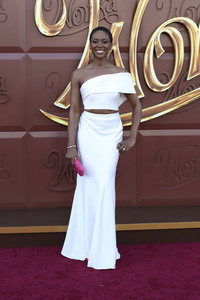 Filmpremiere 'Wonka' in Los Angeles