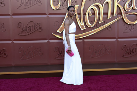 Filmpremiere 'Wonka' in Los Angeles