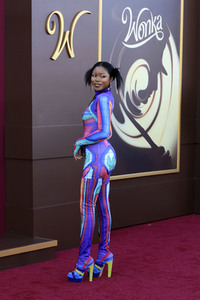 Filmpremiere 'Wonka' in Los Angeles