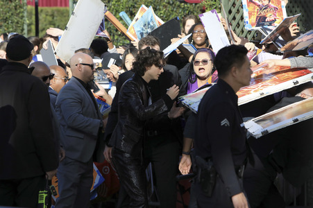 Filmpremiere 'Wonka' in Los Angeles
