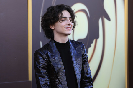 Filmpremiere 'Wonka' in Los Angeles