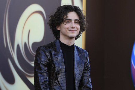 Filmpremiere 'Wonka' in Los Angeles