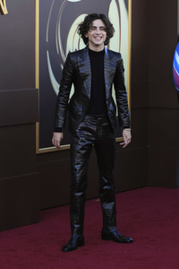 Filmpremiere 'Wonka' in Los Angeles