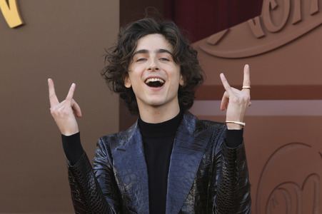 Filmpremiere 'Wonka' in Los Angeles