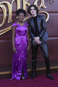 Filmpremiere 'Wonka' in Los Angeles