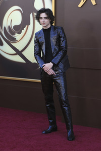 Filmpremiere 'Wonka' in Los Angeles