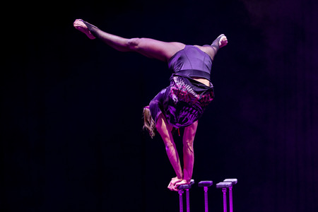 Weihnachstshow von Circus FlicFlac in Erfurt