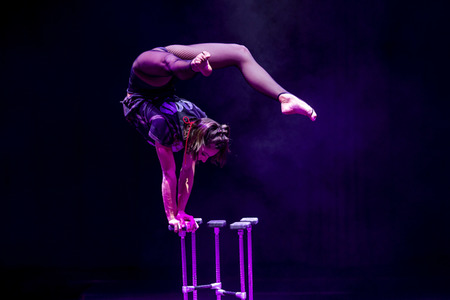 Weihnachstshow von Circus FlicFlac in Erfurt