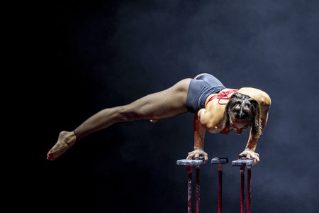 Weihnachstshow von Circus FlicFlac in Erfurt