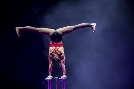 Weihnachstshow von Circus FlicFlac in Erfurt