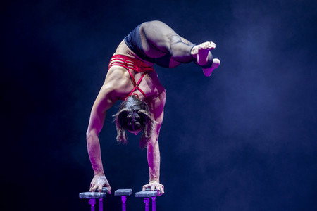 Weihnachstshow von Circus FlicFlac in Erfurt