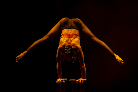 Weihnachstshow von Circus FlicFlac in Erfurt