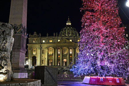 Weihnachten auf dem Petersplatz in Rom