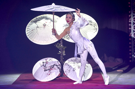Premiere des Weihnachtscircus Hannover