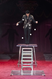 Premiere des Weihnachtscircus Hannover