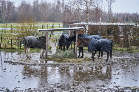 Dauerregen und Hochwasser in der Region Hannover