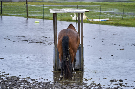 Dauerregen und Hochwasser in der Region Hannover