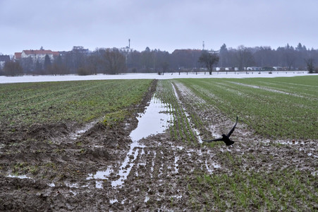 Dauerregen und Hochwasser in der Region Hannover