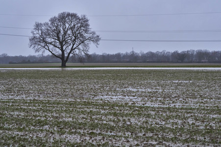 Dauerregen und Hochwasser in der Region Hannover