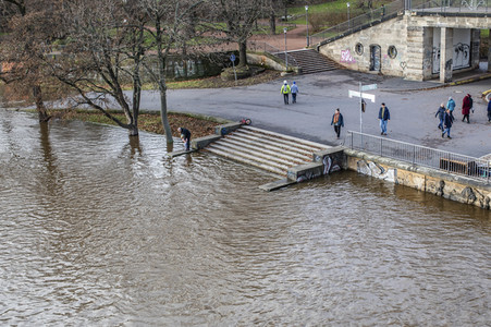 Hochwasser in Dresden