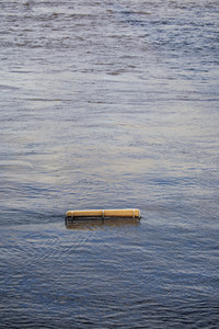Hochwasser in Dresden