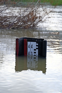 Hochwasser in Görlitz