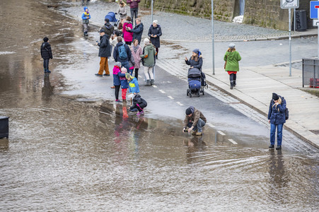 Hochwasser in Dresden