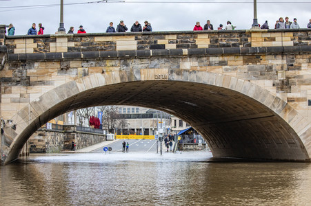 Hochwasser in Dresden