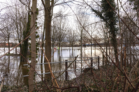 Weser-Hochwasser in Stolzenau