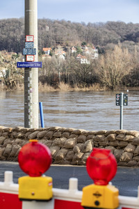 Elbe-Hochwasser in Dresden