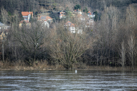 Elbe-Hochwasser in Dresden