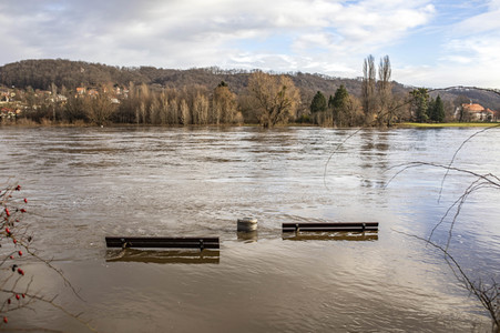 Elbe-Hochwasser in Dresden