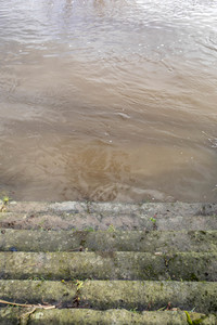 Elbe-Hochwasser in Dresden