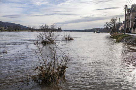 Elbe-Hochwasser in Dresden