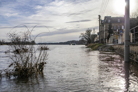Elbe-Hochwasser in Dresden