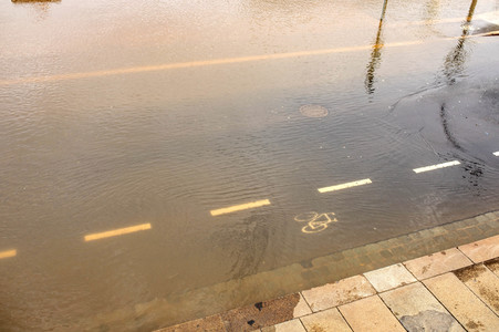 Elbe-Hochwasser in Dresden