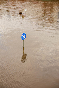 Elbe-Hochwasser in Dresden