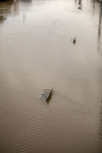 Elbe-Hochwasser in Dresden