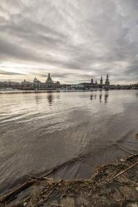 Elbe-Hochwasser in Dresden