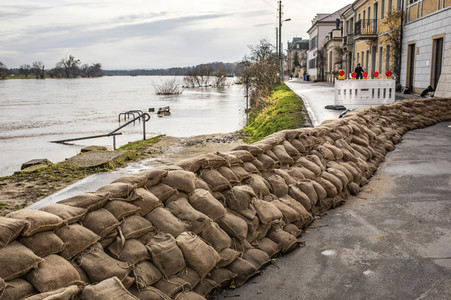 Elbe-Hochwasser in Dresden