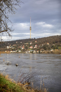 Elbe-Hochwasser in Dresden